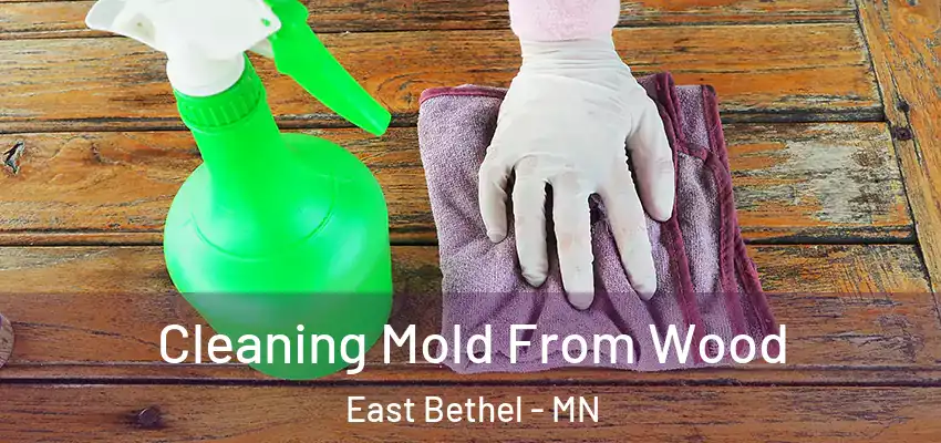  Cleaning Mold From Wood East Bethel - MN