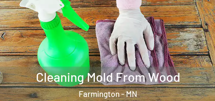  Cleaning Mold From Wood Farmington - MN