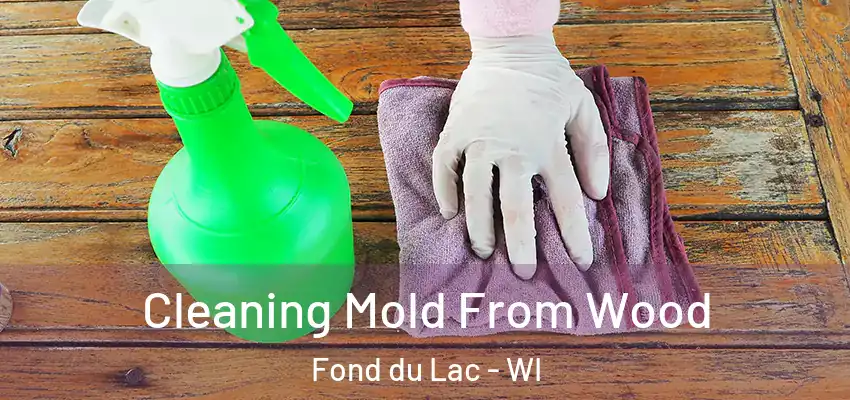  Cleaning Mold From Wood Fond du Lac - WI