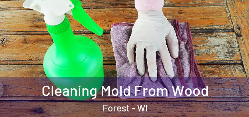  Cleaning Mold From Wood Forest - WI