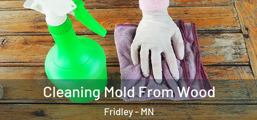  Cleaning Mold From Wood Fridley - MN