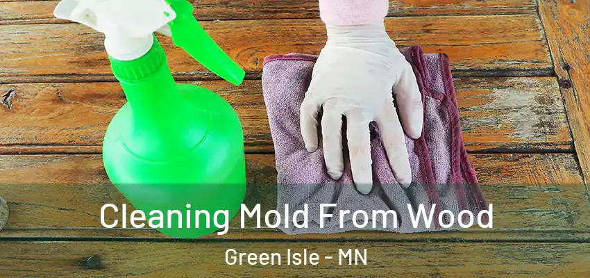  Cleaning Mold From Wood Green Isle - MN
