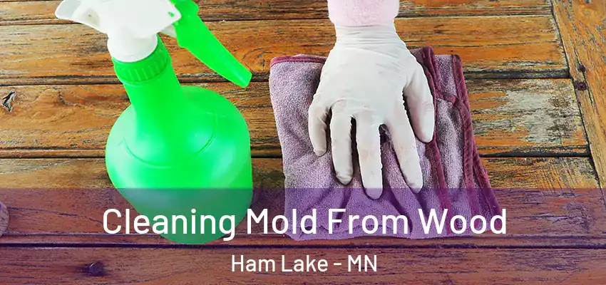  Cleaning Mold From Wood Ham Lake - MN