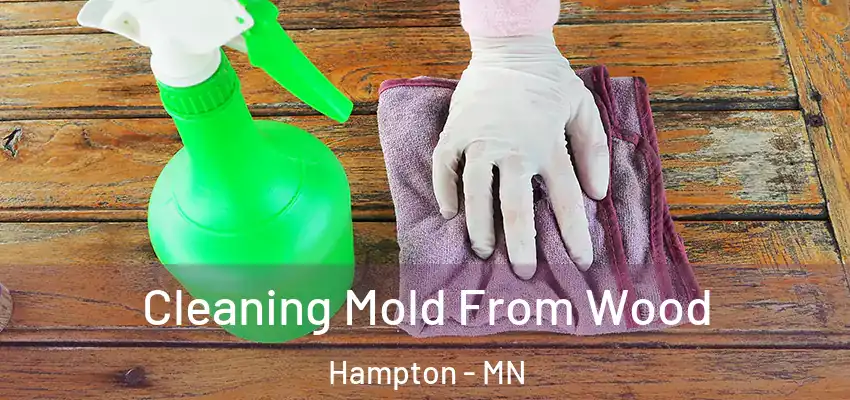  Cleaning Mold From Wood Hampton - MN