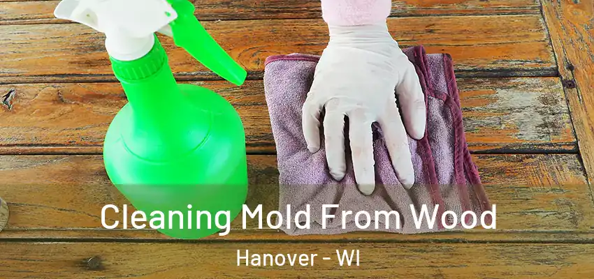  Cleaning Mold From Wood Hanover - WI