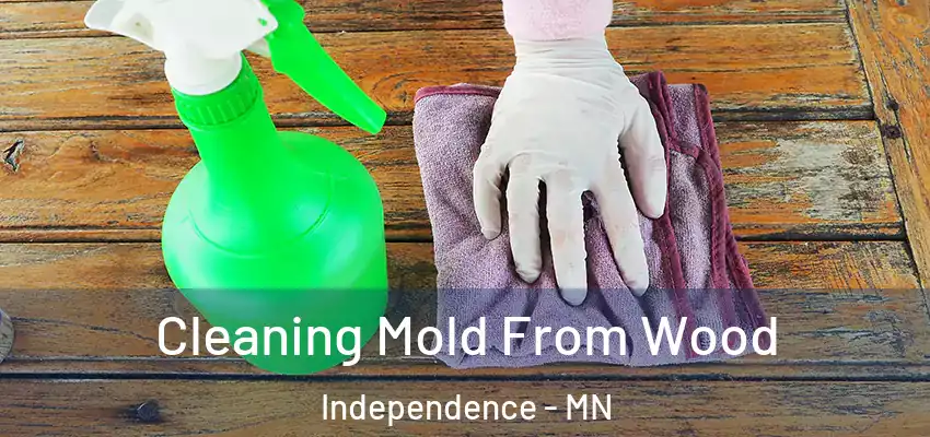  Cleaning Mold From Wood Independence - MN