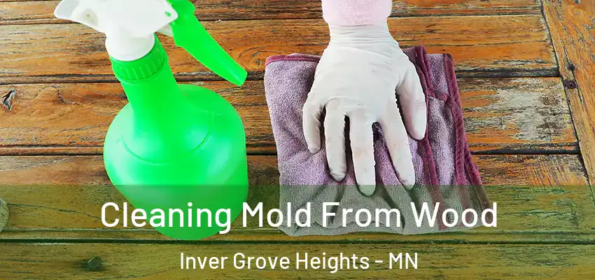  Cleaning Mold From Wood Inver Grove Heights - MN