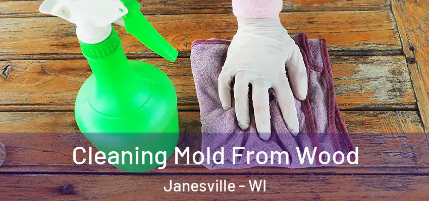  Cleaning Mold From Wood Janesville - WI