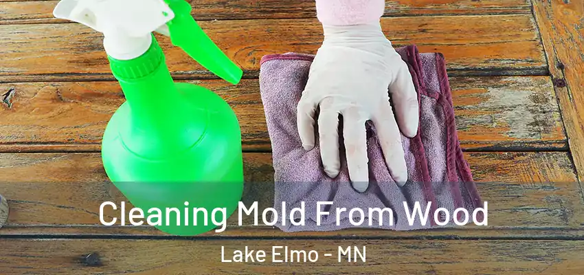  Cleaning Mold From Wood Lake Elmo - MN