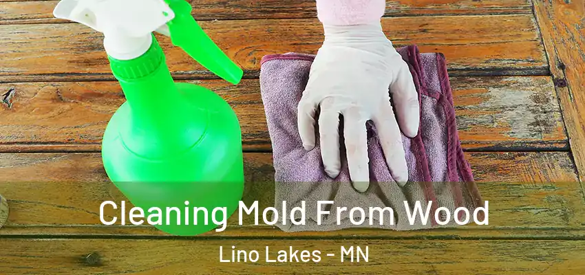 Cleaning Mold From Wood Lino Lakes - MN