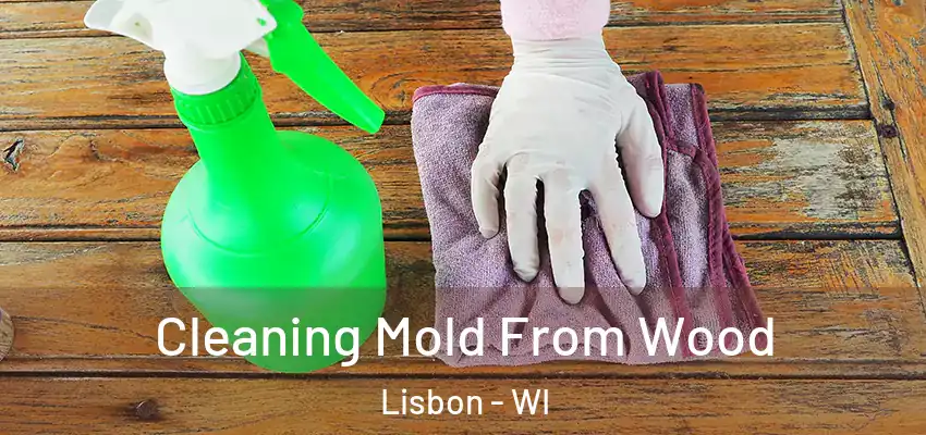  Cleaning Mold From Wood Lisbon - WI