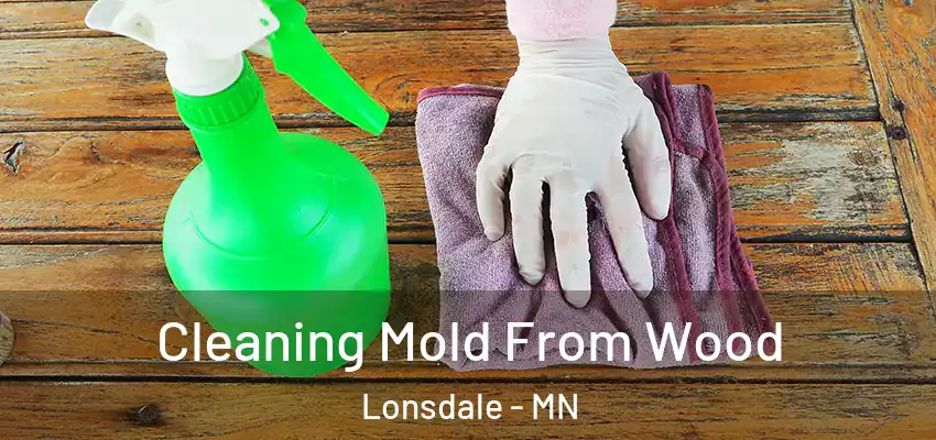  Cleaning Mold From Wood Lonsdale - MN