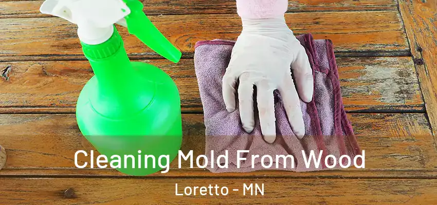  Cleaning Mold From Wood Loretto - MN