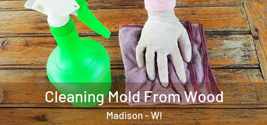  Cleaning Mold From Wood Madison - WI
