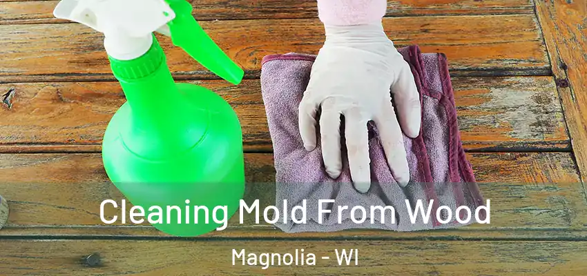  Cleaning Mold From Wood Magnolia - WI