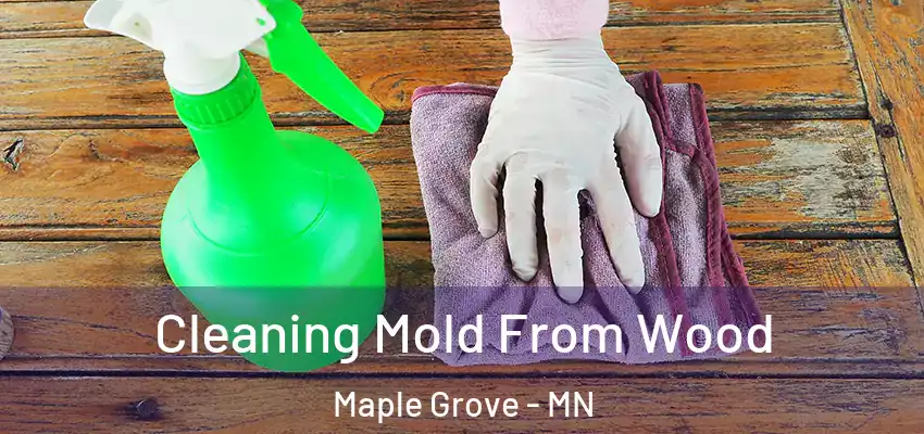 Cleaning Mold From Wood Maple Grove - MN