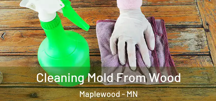  Cleaning Mold From Wood Maplewood - MN