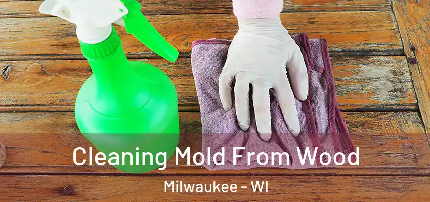 Cleaning Mold From Wood Milwaukee - WI