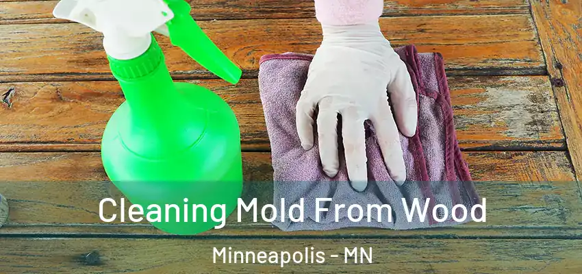  Cleaning Mold From Wood Minneapolis - MN