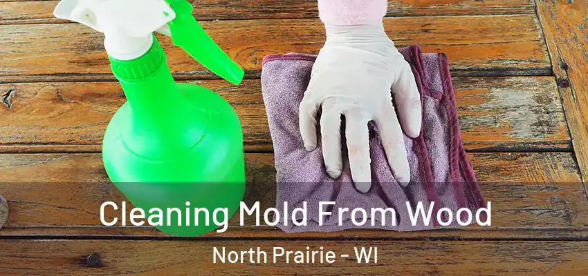  Cleaning Mold From Wood North Prairie - WI