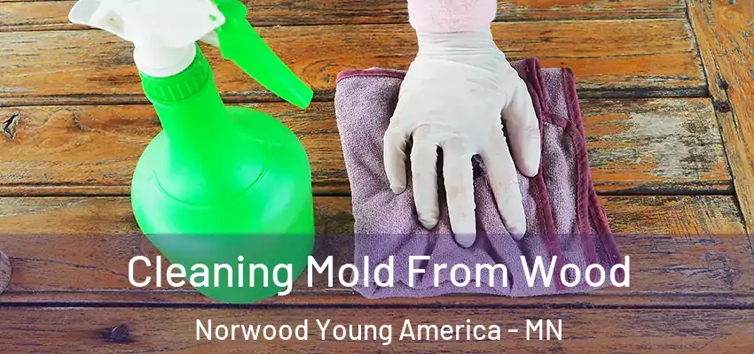  Cleaning Mold From Wood Norwood Young America - MN