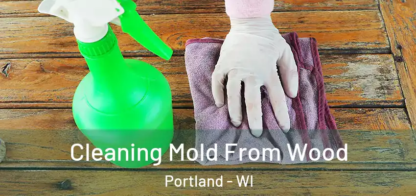  Cleaning Mold From Wood Portland - WI