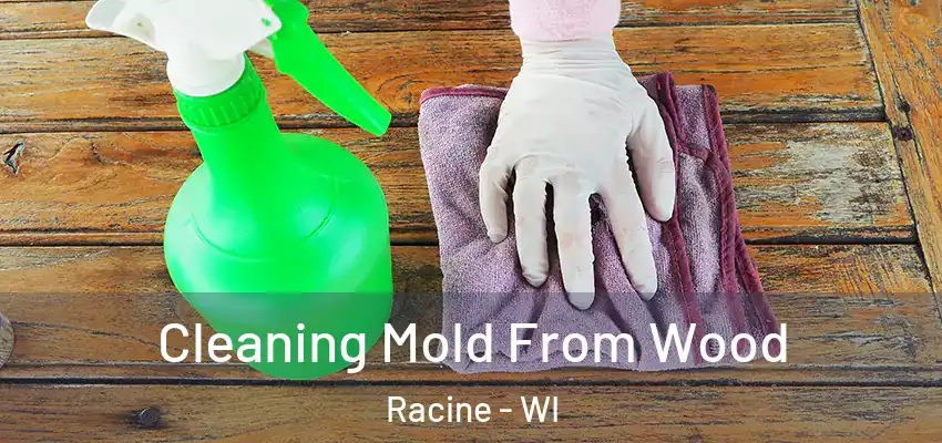  Cleaning Mold From Wood Racine - WI