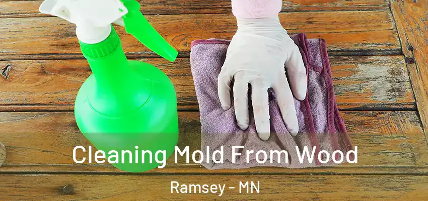 Cleaning Mold From Wood Ramsey - MN