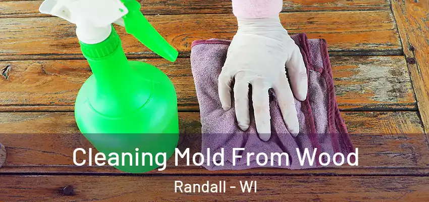  Cleaning Mold From Wood Randall - WI