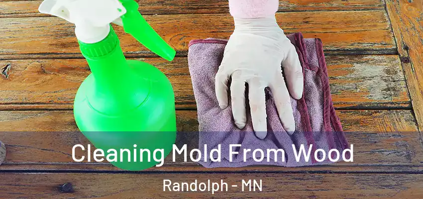  Cleaning Mold From Wood Randolph - MN