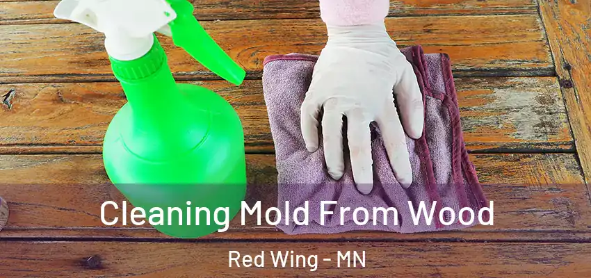  Cleaning Mold From Wood Red Wing - MN