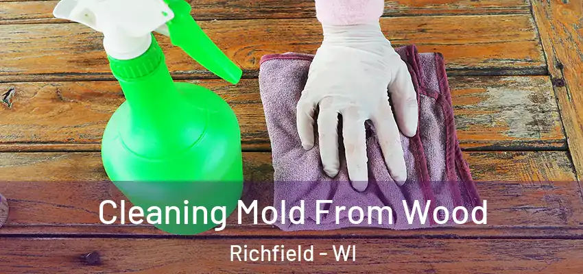  Cleaning Mold From Wood Richfield - WI