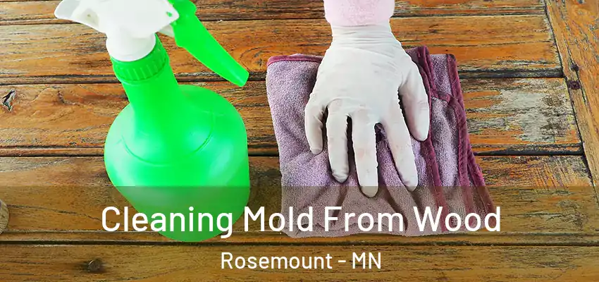  Cleaning Mold From Wood Rosemount - MN