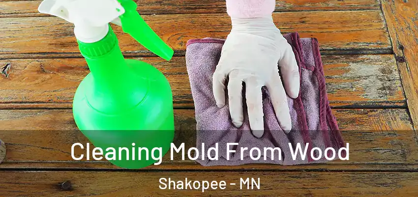  Cleaning Mold From Wood Shakopee - MN