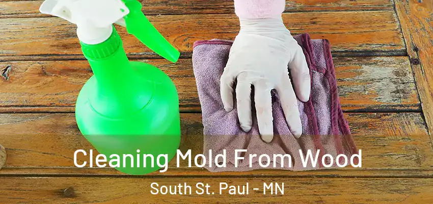  Cleaning Mold From Wood South St. Paul - MN