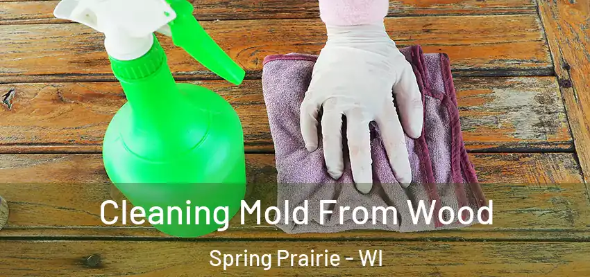 Cleaning Mold From Wood Spring Prairie - WI