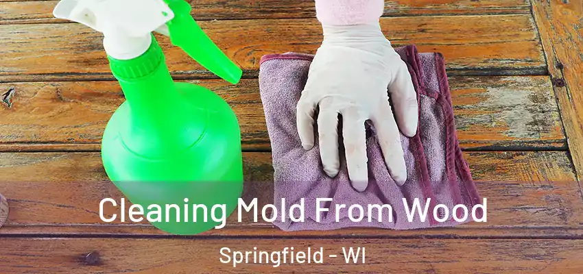  Cleaning Mold From Wood Springfield - WI