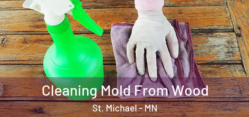  Cleaning Mold From Wood St. Michael - MN