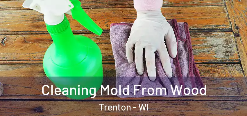  Cleaning Mold From Wood Trenton - WI