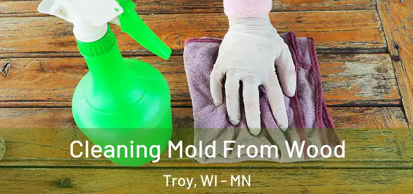  Cleaning Mold From Wood Troy, WI - MN