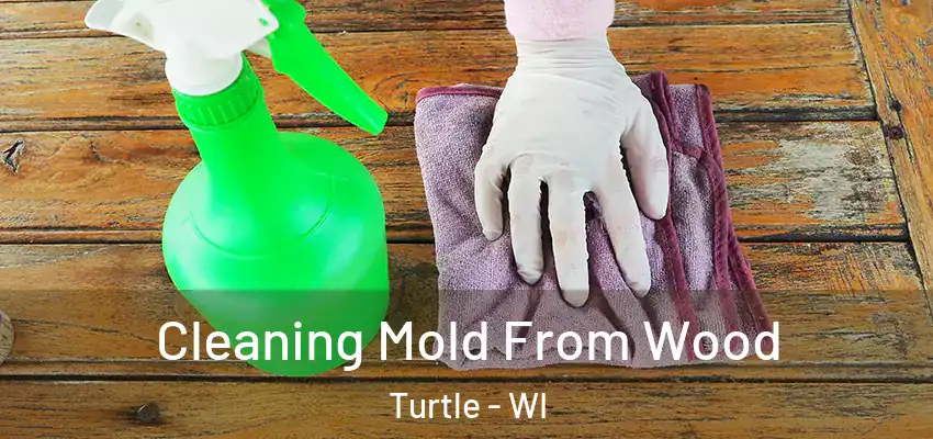  Cleaning Mold From Wood Turtle - WI