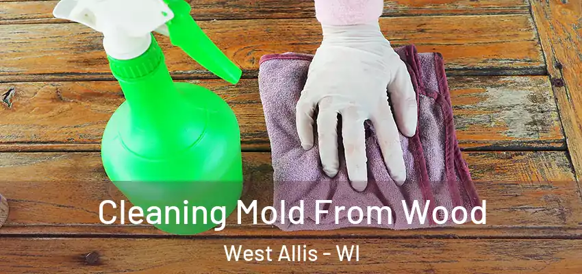  Cleaning Mold From Wood West Allis - WI