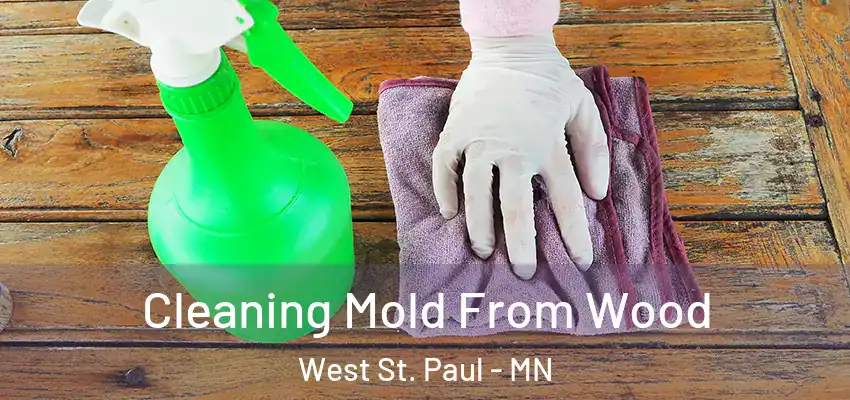  Cleaning Mold From Wood West St. Paul - MN