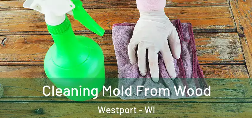  Cleaning Mold From Wood Westport - WI