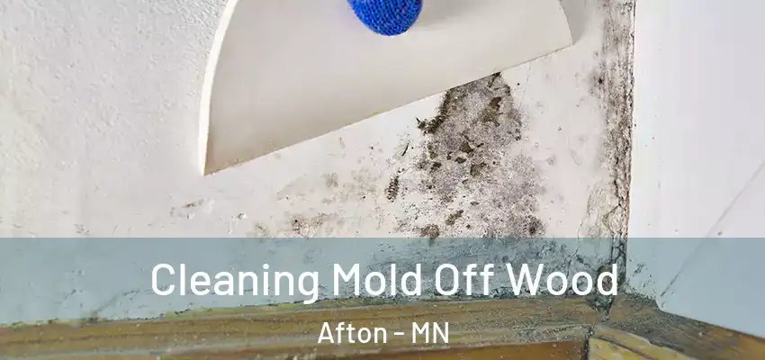  Cleaning Mold Off Wood Afton - MN