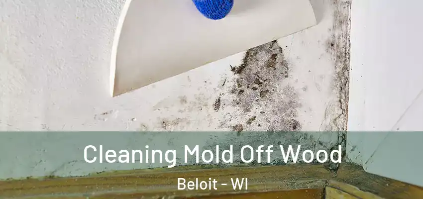  Cleaning Mold Off Wood Beloit - WI