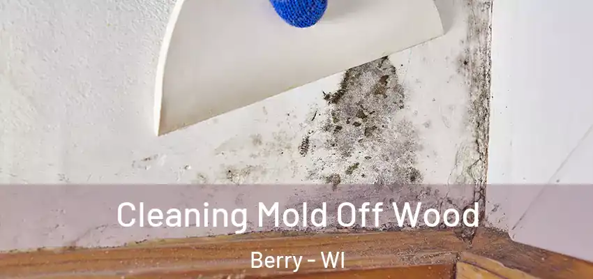  Cleaning Mold Off Wood Berry - WI