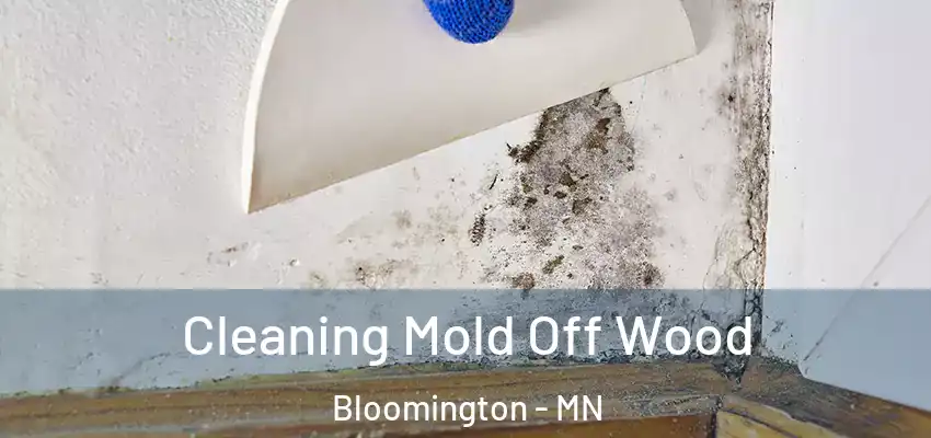 Cleaning Mold Off Wood Bloomington - MN