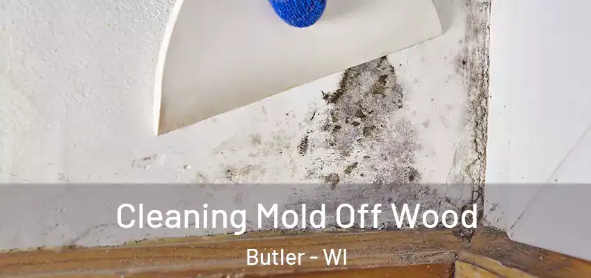  Cleaning Mold Off Wood Butler - WI
