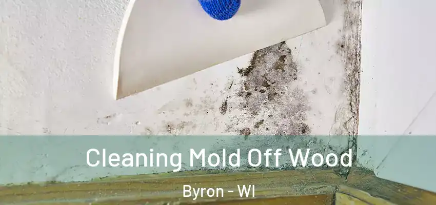 Cleaning Mold Off Wood Byron - WI
